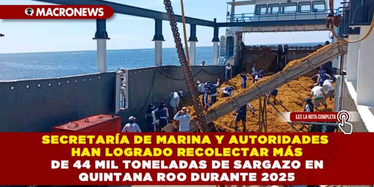 SECRETARÍA DE MARINA Y AUTORIDADES HAN LOGRADO RECOLECTAR MÁS DE 44 MIL TONELADAS DE SARGAZO EN QUINTANA ROO DURANTE 2025