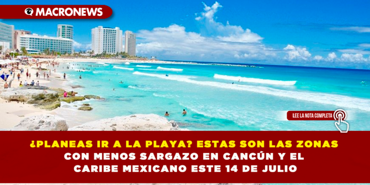 ¿PLANEAS IR A LA PLAYA? ESTAS SON LAS ZONAS CON MENOS SARGAZO EN CANCÚN Y EL CARIBE MEXICANO ESTE 14 DE JULIO