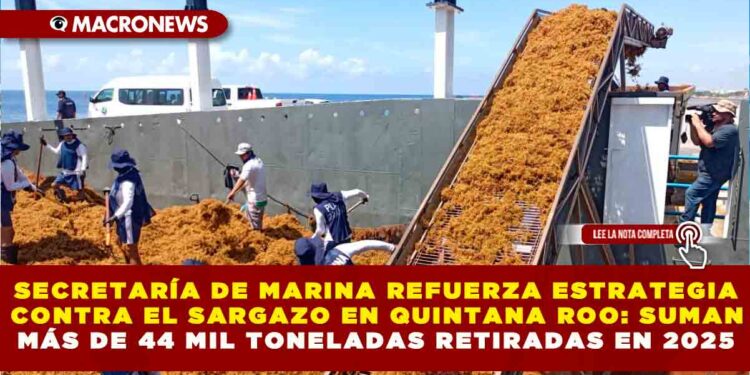 SECRETARÍA DE MARINA REFUERZA ESTRATEGIA CONTRA EL SARGAZO EN QUINTANA ROO: SUMAN MÁS DE 44 MIL TONELADAS RETIRADAS EN 2025