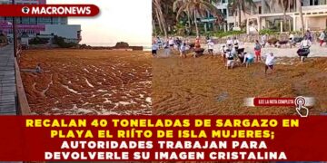 RECALAN 40 TONELADAS DE SARGAZO EN PLAYA EL RIÍTO DE ISLA MUJERES; AUTORIDADES TRABAJAN PARA DEVOLVERLE SU IMAGEN CRISTALINA