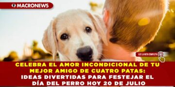 CELEBRA EL AMOR INCONDICIONAL DE TU MEJOR AMIGO DE CUATRO PATAS: IDEAS DIVERTIDAS PARA FESTEJAR EL DÍA DEL PERRO HOY 20 DE JULIO