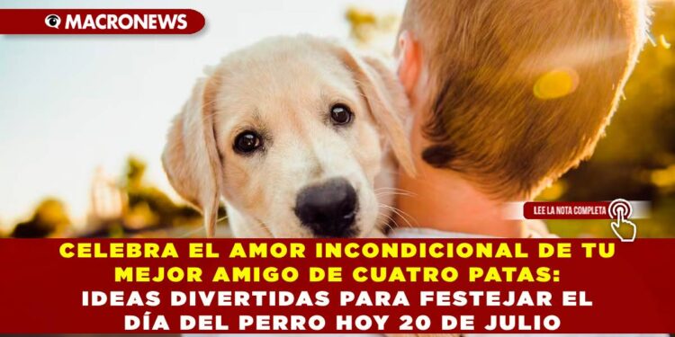 CELEBRA EL AMOR INCONDICIONAL DE TU MEJOR AMIGO DE CUATRO PATAS: IDEAS DIVERTIDAS PARA FESTEJAR EL DÍA DEL PERRO HOY 20 DE JULIO