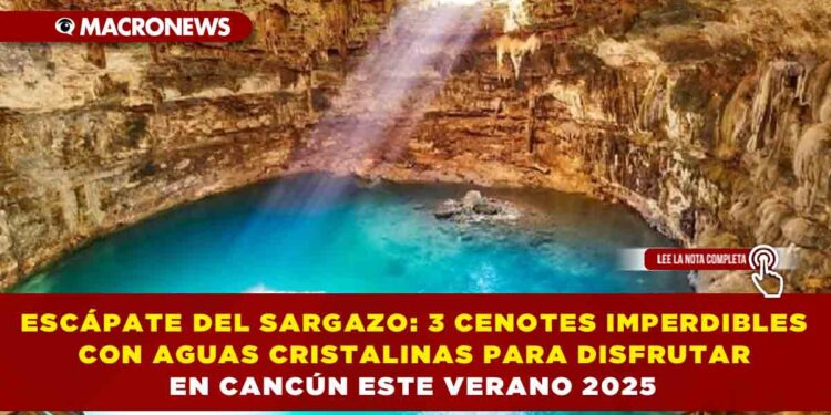 ESCÁPATE DEL SARGAZO: 3 CENOTES IMPERDIBLES CON AGUAS CRISTALINAS PARA DISFRUTAR EN CANCÚN ESTE VERANO 2025