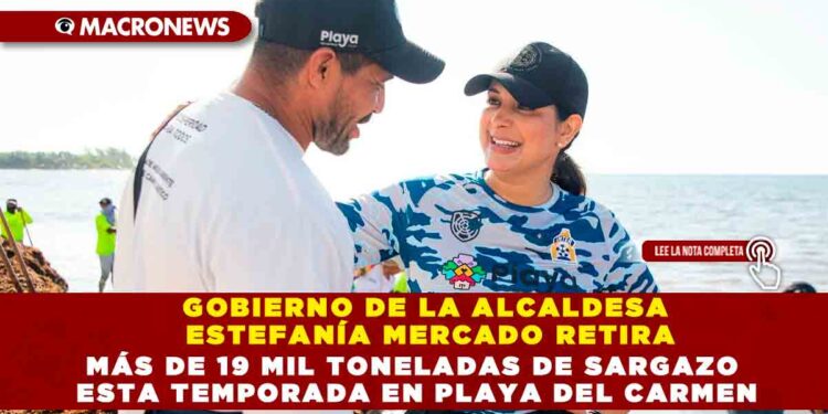 GOBIERNO DE LA ALCALDESA ESTEFANÍA MERCADO RETIRA MÁS DE 19 MIL TONELADAS DE SARGAZO ESTA TEMPORADA EN PLAYA DEL CARMEN