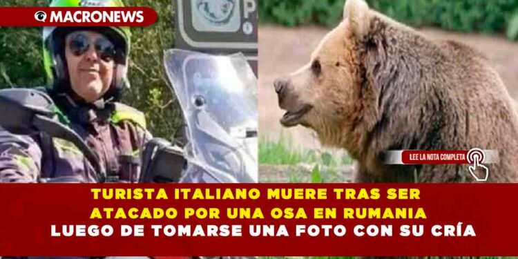 TURISTA ITALIANO MUERE TRAS SER ATACADO POR UNA OSA EN RUMANIA LUEGO DE TOMARSE UNA FOTO CON SU CRÍA
