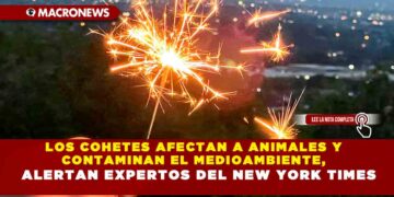 LOS COHETES AFECTAN A ANIMALES Y CONTAMINAN EL MEDIOAMBIENTE, ALERTAN EXPERTOS DEL NEW YORK TIMES