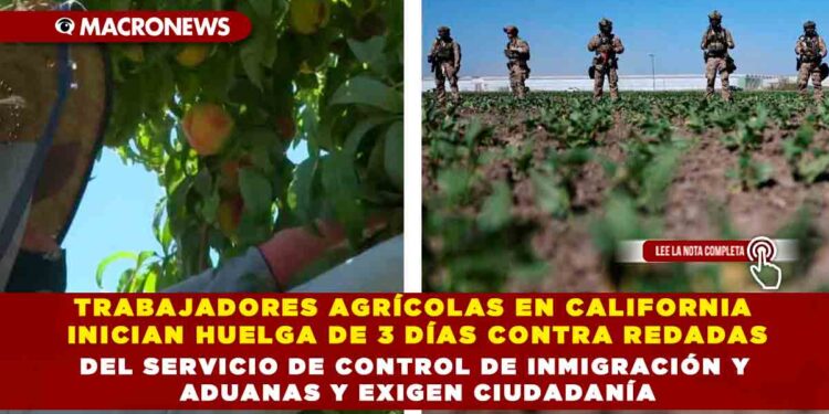 TRABAJADORES AGRÍCOLAS EN CALIFORNIA INICIAN HUELGA DE 3 DÍAS CONTRA REDADAS DEL SERVICIO DE CONTROL DE INMIGRACIÓN Y ADUANAS Y EXIGEN CIUDADANÍA