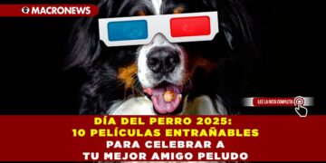 DÍA DEL PERRO 2025: 10 PELÍCULAS ENTRAÑABLES PARA CELEBRAR A TU MEJOR AMIGO PELUDO