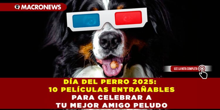 DÍA DEL PERRO 2025: 10 PELÍCULAS ENTRAÑABLES PARA CELEBRAR A TU MEJOR AMIGO PELUDO