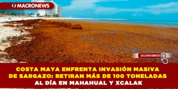 COSTA MAYA ENFRENTA INVASIÓN MASIVA DE SARGAZO: RETIRAN MÁS DE 100 TONELADAS AL DÍA EN MAHAHUAL Y XCALAK