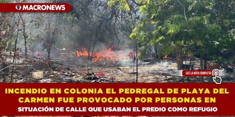 INCENDIO EN COLONIA EL PEDREGAL DE PLAYA DEL CARMEN FUE PROVOCADO POR PERSONAS EN SITUACIÓN DE CALLE QUE USABAN EL PREDIO COMO REFUGIO