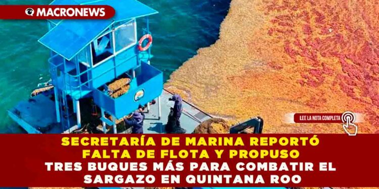 SECRETARÍA DE MARINA REPORTÓ FALTA DE FLOTA Y PROPUSO TRES BUQUES MÁS PARA COMBATIR EL SARGAZO EN QUINTANA ROO
