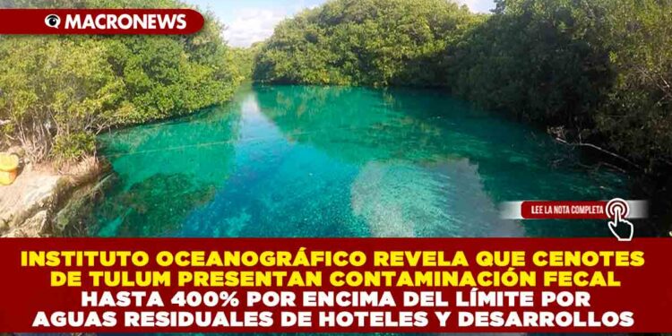 INSTITUTO OCEANOGRÁFICO REVELA QUE CENOTES DE TULUM PRESENTAN CONTAMINACIÓN FECAL HASTA 400% POR ENCIMA DEL LÍMITE POR AGUAS RESIDUALES DE HOTELES Y DESARROLLOS