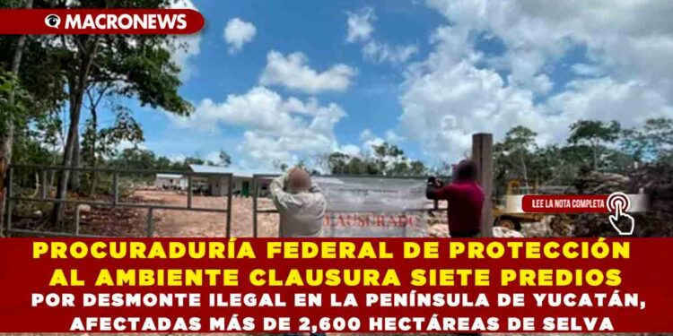 PROCURADURÍA FEDERAL DE PROTECCIÓN AL AMBIENTE CLAUSURA SIETE PREDIOS POR DESMONTE ILEGAL EN LA PENÍNSULA DE YUCATÁN, AFECTADAS MÁS DE 2,600 HECTÁREAS DE SELVA