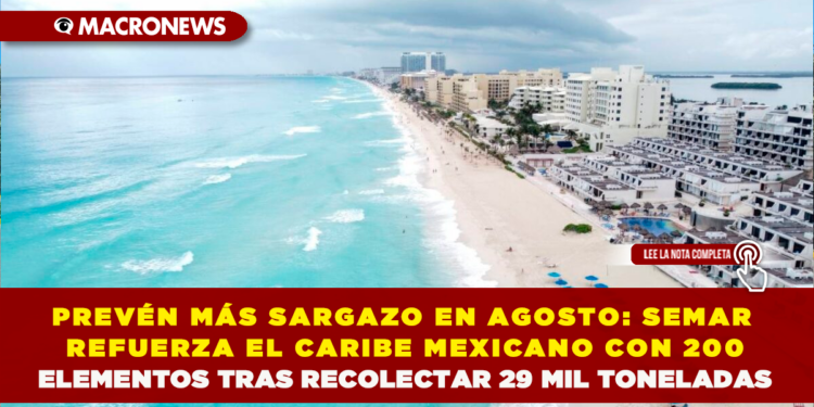 PREVÉN MÁS SARGAZO EN AGOSTO: SEMAR REFUERZA EL CARIBE MEXICANO CON 200 ELEMENTOS TRAS RECOLECTAR 29 MIL TONELADAS