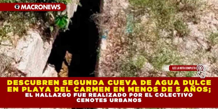 DESCUBREN SEGUNDA CUEVA DE AGUA DULCE EN PLAYA DEL CARMEN EN MENOS DE 5 AÑOS; EL HALLAZGO FUE REALIZADO POR EL COLECTIVO CENOTES URBANOS