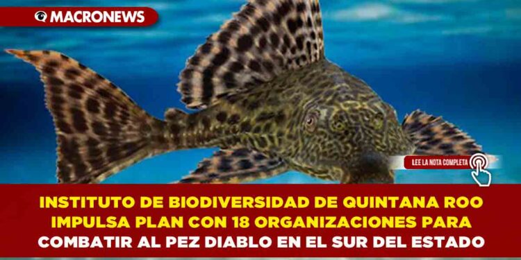 INSTITUTO DE BIODIVERSIDAD DE QUINTANA ROO IMPULSA PLAN CON 18 ORGANIZACIONES PARA COMBATIR AL PEZ DIABLO EN EL SUR DEL ESTADO