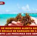 RED DE MONITOREO ALERTA SOBRE FUERTE RECALE DE SARGAZO EN CANCÚN DURANTE LAS PRÓXIMAS DOS SEMANAS