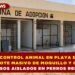 CENTRO DE CONTROL ANIMAL EN PLAYA DEL CARMEN NIEGA BROTE MASIVO DE MOQUILLO Y CONFIRMA CINCO CASOS AISLADOS EN PERROS RESCATADOS