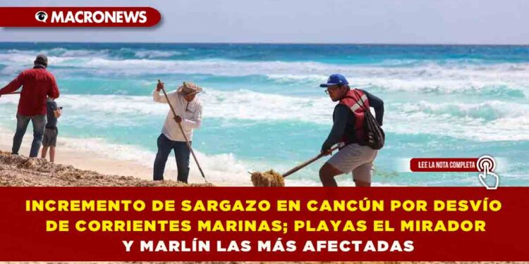 INCREMENTO DE SARGAZO EN CANCÚN POR DESVÍO DE CORRIENTES MARINAS; PLAYAS EL MIRADOR Y MARLÍN LAS MÁS AFECTADAS