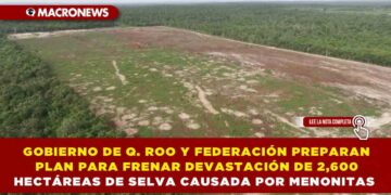 GOBIERNO DE QUINTANA ROO Y FEDERACIÓN PREPARAN PLAN PARA FRENAR DEVASTACIÓN DE 2,600 HECTÁREAS DE SELVA CAUSADA POR MENONITAS