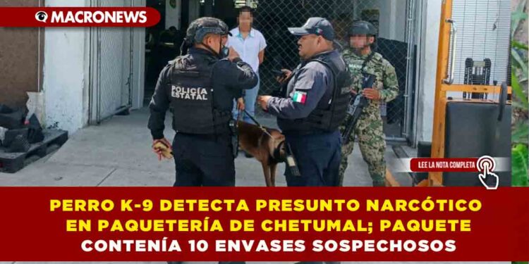 PERRO K-9 DETECTA PRESUNTO NARCÓTICO EN PAQUETERÍA DE CHETUMAL; PAQUETE CONTENÍA 10 ENVASES SOSPECHOSOS