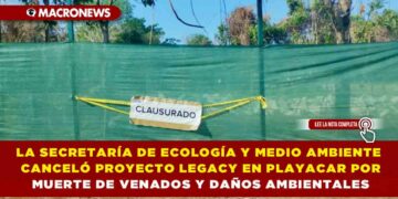 LA SECRETARÍA DE ECOLOGÍA Y MEDIO AMBIENTE CANCELÓ PROYECTO LEGACY EN PLAYACAR POR MUERTE DE VENADOS Y DAÑOS AMBIENTALES
