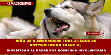 NIÑO DE 9 AÑOS MUERE TRAS ATAQUE DE ROTTWEILER EN FRANCIA; INVESTIGAN AL PADRE POR HOMICIDIO INVOLUNTARIO