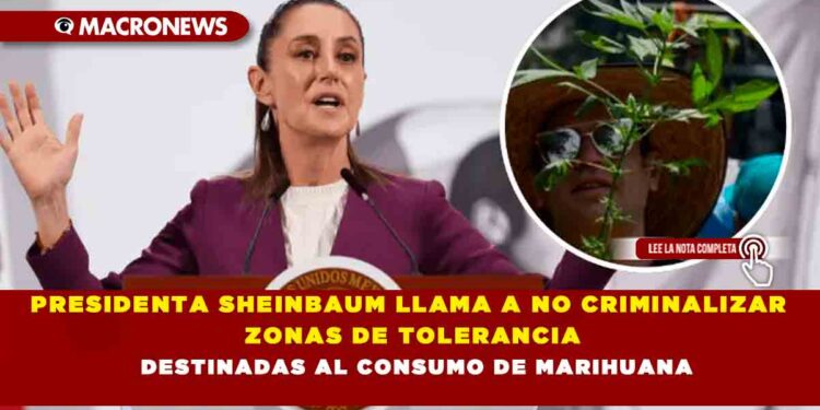 PRESIDENTA SHEINBAUM LLAMA A NO CRIMINALIZAR ZONAS DE TOLERANCIA DESTINADAS AL CONSUMO DE MARIHUANA