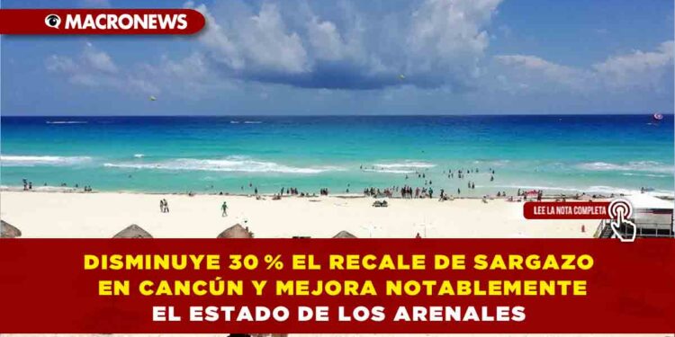 DISMINUYE 30 % EL RECALE DE SARGAZO EN CANCÚN Y MEJORA NOTABLEMENTE EL ESTADO DE LOS ARENALES
