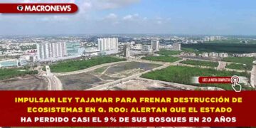 IMPULSAN LEY TAJAMAR PARA FRENAR DESTRUCCIÓN DE ECOSISTEMAS EN QUINTANA ROO: ALERTAN QUE EL ESTADO HA PERDIDO CASI EL 9 % DE SUS BOSQUES EN 20 AÑOS