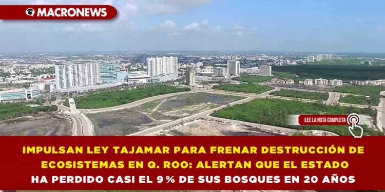 IMPULSAN LEY TAJAMAR PARA FRENAR DESTRUCCIÓN DE ECOSISTEMAS EN QUINTANA ROO: ALERTAN QUE EL ESTADO HA PERDIDO CASI EL 9 % DE SUS BOSQUES EN 20 AÑOS