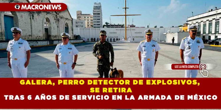 GALERA, PERRO DETECTOR DE EXPLOSIVOS, SE RETIRA TRAS 6 AÑOS DE SERVICIO EN LA ARMADA DE MÉXICO