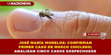 JOSÉ MARÍA MORELOS: CONFIRMAN PRIMER CASO DE MOSCO CHICLERO; ANALIZAN CINCO CASOS SOSPECHOSOS