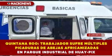 QUINTANA ROO: TRABAJADOR SUFRE MÚLTIPLES PICADURAS DE ABEJAS AFRICANIZADAS EN PARQUE INDUSTRIAL DE HUAY-PIX
