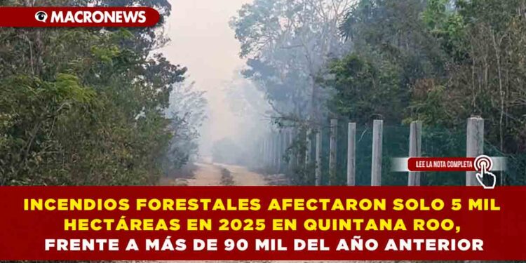 INCENDIOS FORESTALES AFECTARON SOLO 5 MIL HECTÁREAS EN 2025 EN QUINTANA ROO, FRENTE A MÁS DE 90 MIL DEL AÑO ANTERIOR