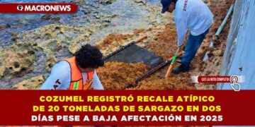 COZUMEL REGISTRÓ RECALE ATÍPICO DE 20 TONELADAS DE SARGAZO EN DOS DÍAS PESE A BAJA AFECTACIÓN EN 2025