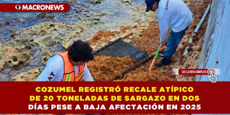 COZUMEL REGISTRÓ RECALE ATÍPICO DE 20 TONELADAS DE SARGAZO EN DOS DÍAS PESE A BAJA AFECTACIÓN EN 2025