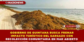 GOBIERNO DE QUINTANA BUSCA FRENAR IMPACTO TURÍSTICO DEL SARGAZO CON RECOLECCIÓN COMUNITARIA EN MAR ABIERTO