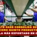 AGUACATE HASS CONSOLIDA SU LUGAR COMO QUINTO PRODUCTO AGRÍCOLA MÁS EXPORTADO EN COLOMBIA