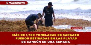 MÁS DE 1,700 TONELADAS DE SARGAZO FUERON RETIRADAS EN LAS PLAYAS DE CANCÚN EN UNA SEMANA