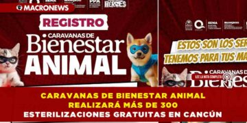 CARAVANAS DE BIENESTAR ANIMAL REALIZARÁ MÁS DE 300 ESTERILIZACIONES GRATUITAS EN CANCÚN