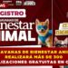 CARAVANAS DE BIENESTAR ANIMAL REALIZARÁ MÁS DE 300 ESTERILIZACIONES GRATUITAS EN CANCÚN