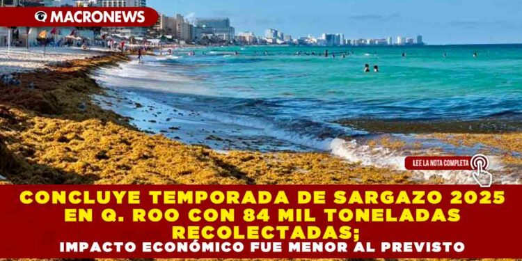 CONCLUYE TEMPORADA DE SARGAZO 2025 EN QUINTANA ROO CON 84 MIL TONELADAS RECOLECTADAS; IMPACTO ECONÓMICO FUE MENOR AL PREVISTO