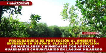 PROCURADURÍA DE PROTECCIÓN AL AMBIENTE REFUERZA EN OTHÓN P. BLANCO LA PROTECCIÓN DE MANGLARES Y HUMEDALES CON APOYO A GUARDIANES COMUNITARIOS EN LAGUNA MILAGROS