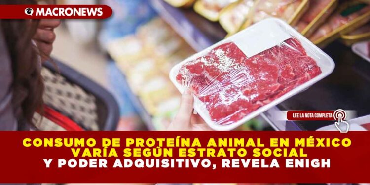 CONSUMO DE PROTEÍNA ANIMAL EN MÉXICO VARÍA SEGÚN ESTRATO SOCIAL Y PODER ADQUISITIVO, REVELA ENIGH
