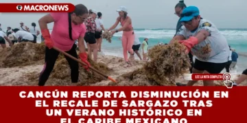 CANCÚN REPORTA DISMINUCIÓN EN EL RECALE DE SARGAZO TRAS UN VERANO HISTÓRICO EN EL CARIBE MEXICANO: TONELADAS RECOLECTADAS EN 2025 CASI CUADRUPLICAN A LAS DEL AÑO PASADO