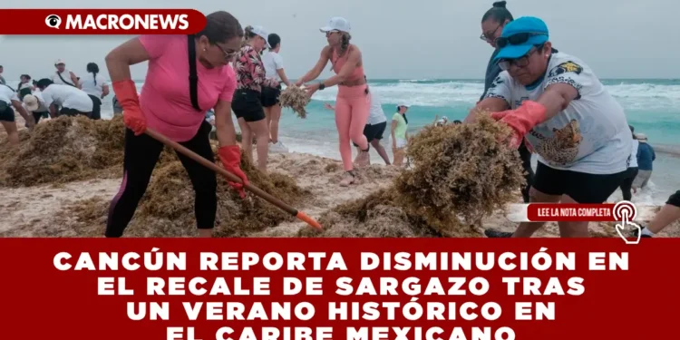 CANCÚN REPORTA DISMINUCIÓN EN EL RECALE DE SARGAZO TRAS UN VERANO HISTÓRICO EN EL CARIBE MEXICANO: TONELADAS RECOLECTADAS EN 2025 CASI CUADRUPLICAN A LAS DEL AÑO PASADO