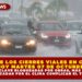 CONOCE LOS CIERRES VIALES EN CANCÚN HOY MARTES 07 DE OCTUBRE; 7 VIALIDADES CLAVE BLOQUEADAS POR OBRAS, MÁS INUNDACIONES PROVOCADAS POR EL CLIMA COMPLICAN EL TRÁFICO