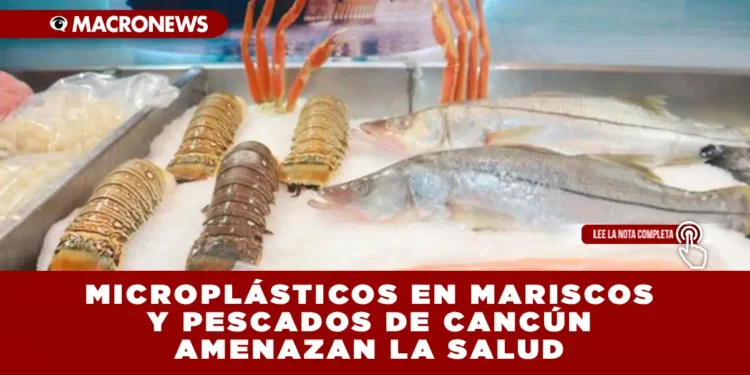 MICROPLÁSTICOS EN MARISCOS Y PESCADOS DE CANCÚN AMENAZAN LA SALUD: CONTAMINACIÓN AFECTA A MÁS DE 800 ESPECIES Y LLEGA A NUESTROS PLATOS